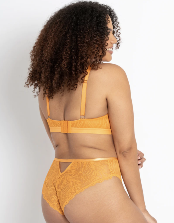 Lace Daze Bralette - Mango