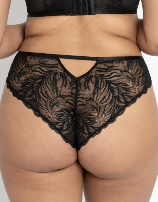 Lace Daze Brazilian - Black