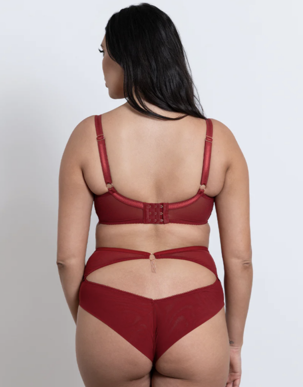 Unchained Plunge Bra - Deep Red