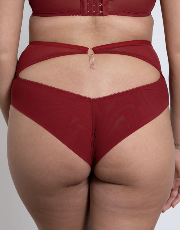 Unchained High Waist Brief - Deep Red