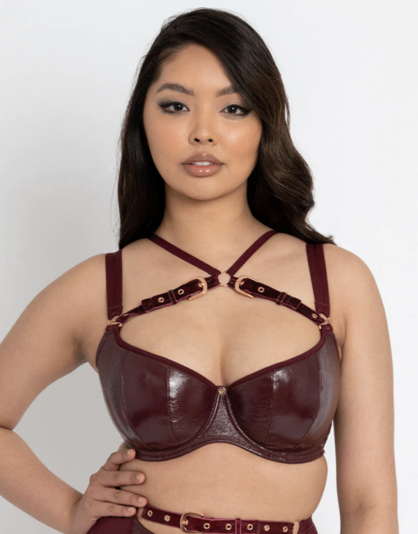 Buckle Up Padded Half Cup Bra - Oxblood