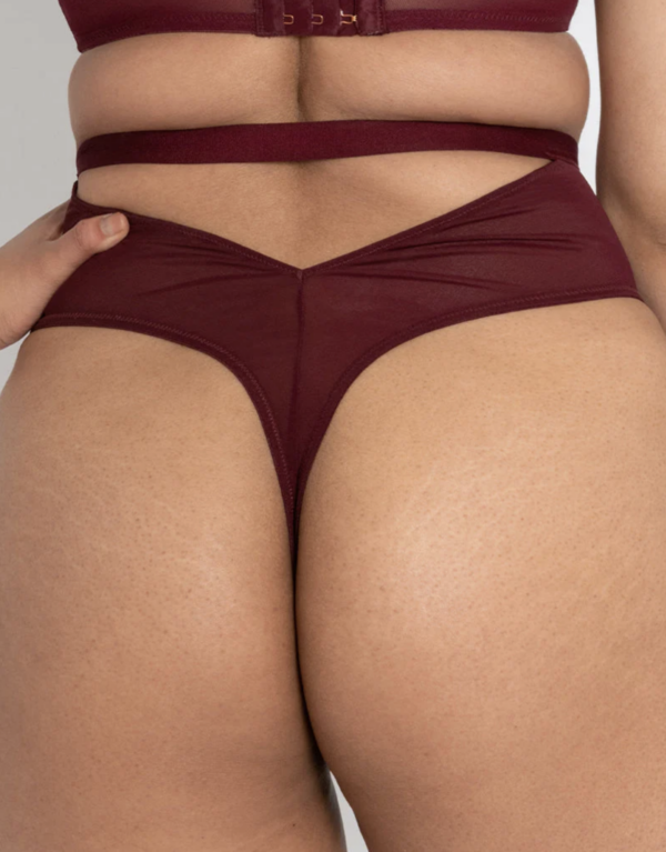 Buckle Up Thong - Oxblood