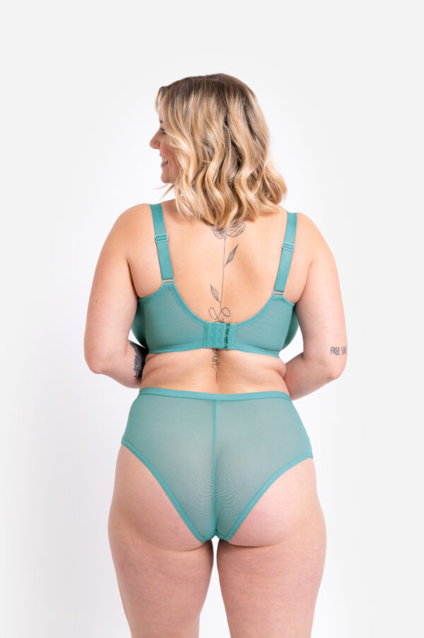 Wonderfully Full Cup Bra - Mineral Blue